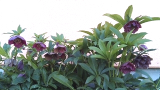 DVC00044.jpg