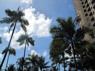 IMG_5645.jpg