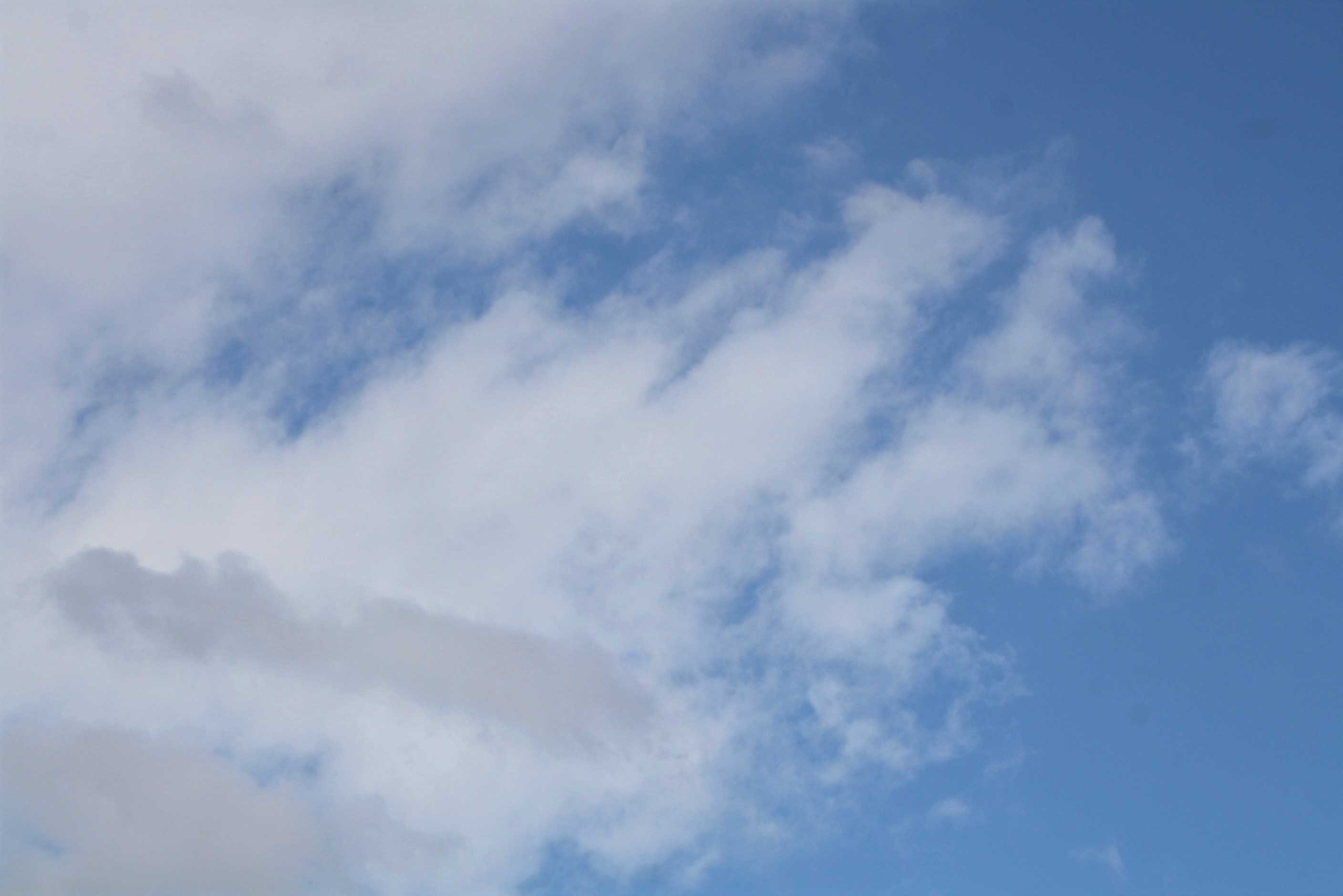 主に従い行くは | 愛と平和の祈り - 楽天ブログ