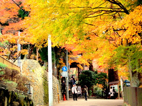 瑞宝寺公園入口・紅葉