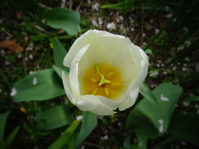 DSC00331.JPG