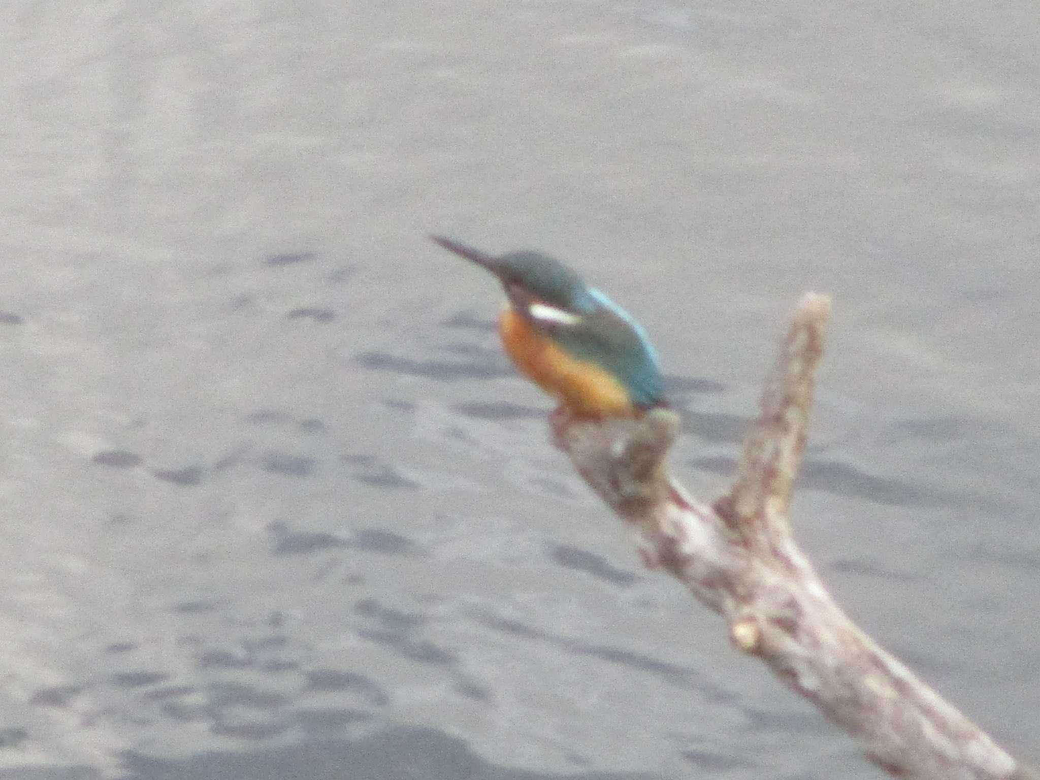 晴　陶　句　読