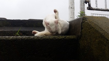 20160623_125020.jpg