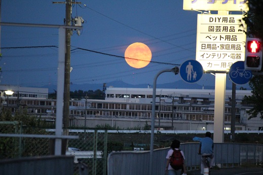 でかい