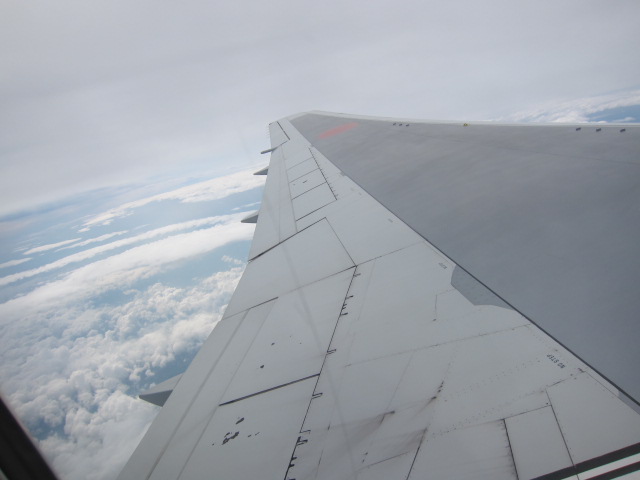 IMG_3741.JPG