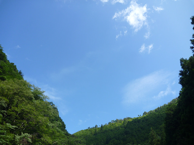 resize0011.jpg