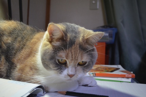 2012.5.5.jya2.jpg