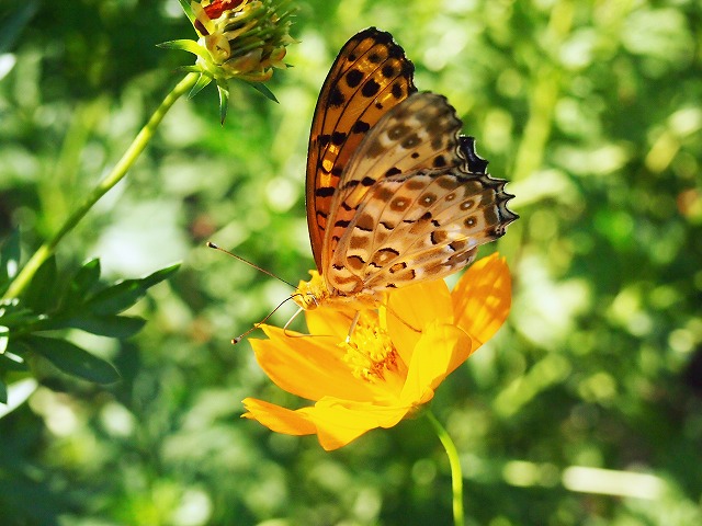 s-p2579.jpg