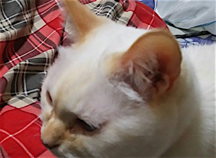 20160118220101_p.jpg