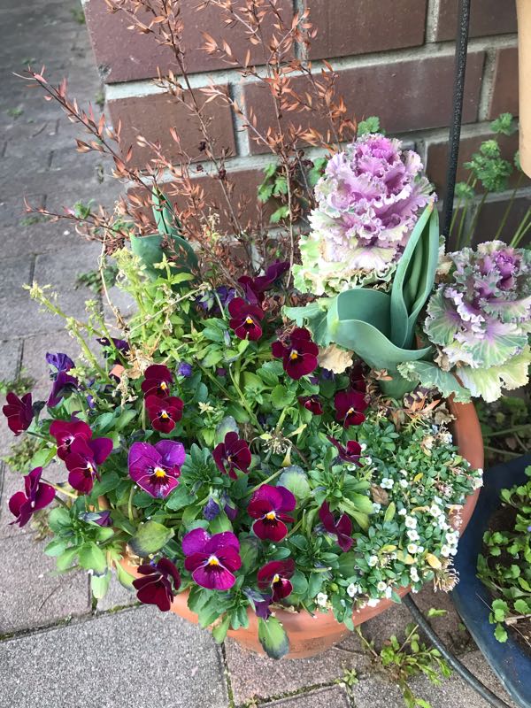 rblog-20190324174614-04.jpg