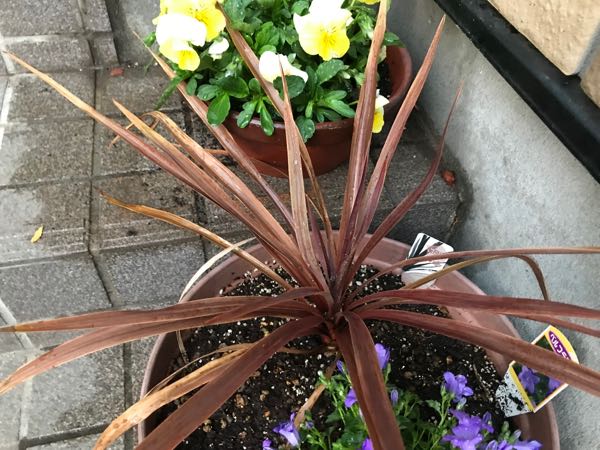 rblog-20180328191552-02.jpg
