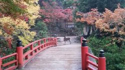 第5回? 早朝ウォーキング_3688.jpg