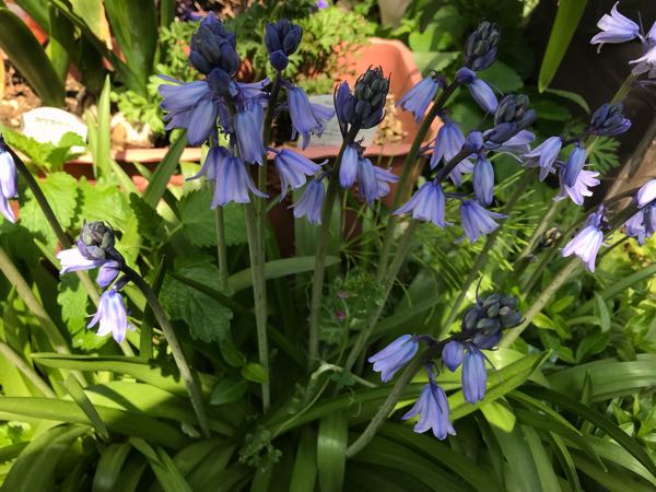 rblog-20190423181829-01.jpg