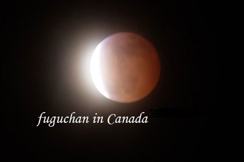 皆既月食the Super Blood Wolf Moon Eclips ラブレターfromcanada 楽天ブログ