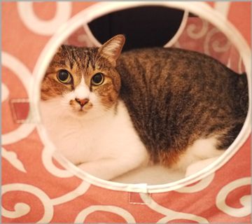 くりもまったり