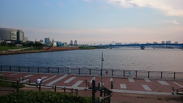 豊洲の海