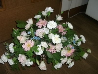 DSCF6037.JPG