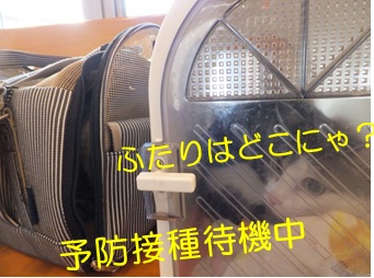 20121006_4.jpg