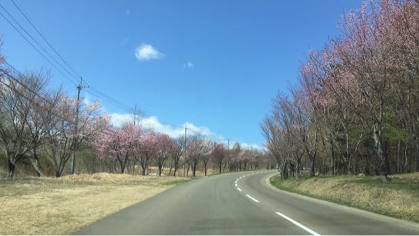 rblog-20170501104425-02.jpg