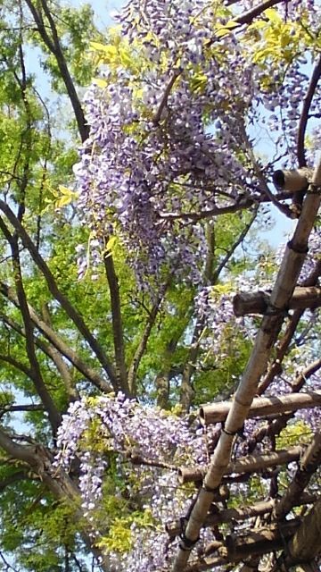 rblog-20180413145932-04.jpg