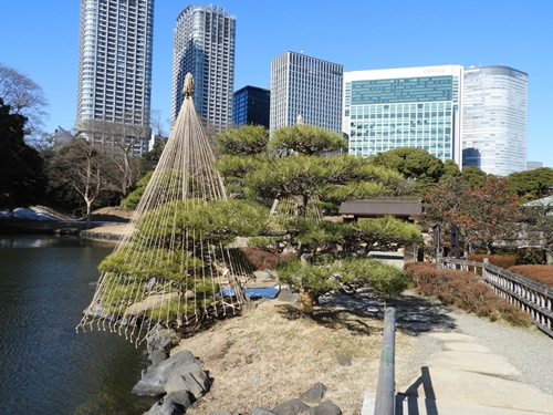 浜離宮恩賜庭園にて