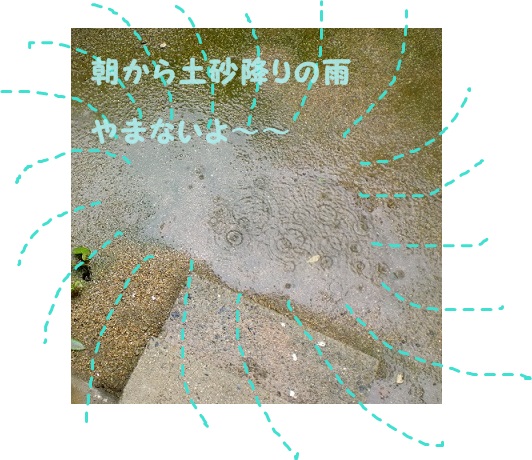 CIMG0854.JPG