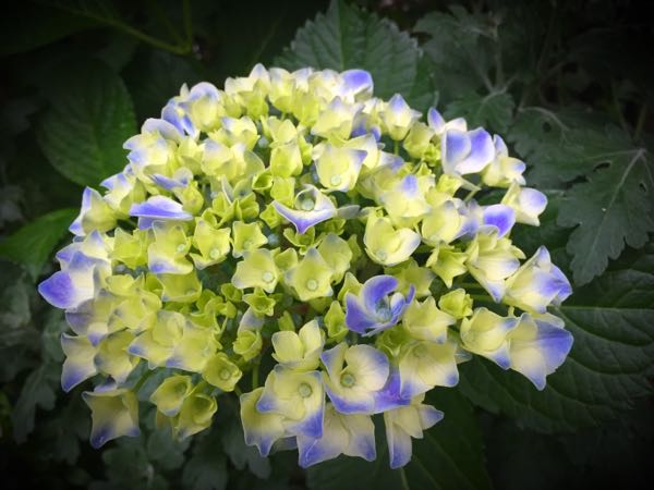 rblog-20160530190925-05.jpg