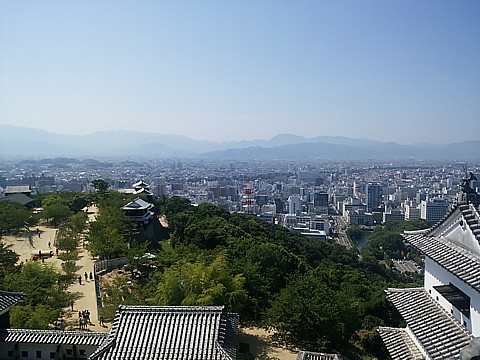 IMG_20160812_100304.jpg