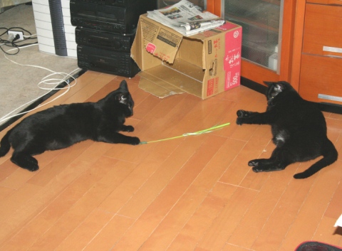20121216ﾅﾅ_ﾀｸ03.jpg