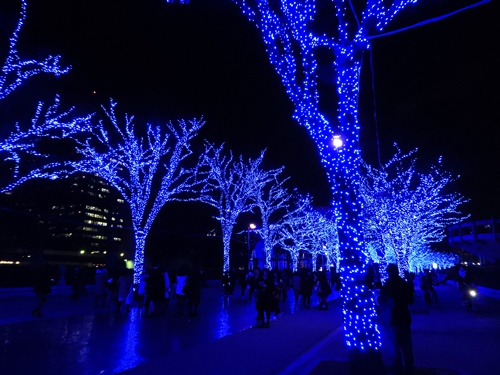 青の洞窟 SHIBUYA