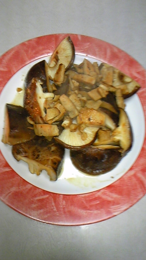 しいたけ 016.JPG