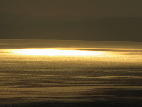 IMG_6548.jpg