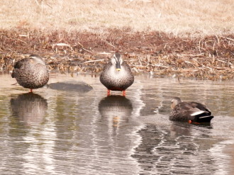 水墨美術館　3　1.28　2015