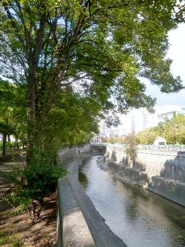 031 (375x500).jpg