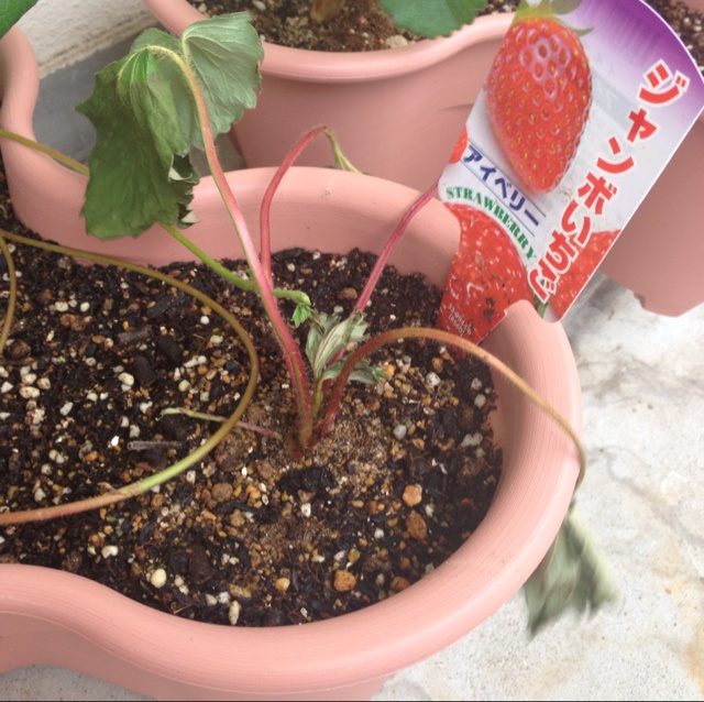 rblog-20131008165911-01.jpg