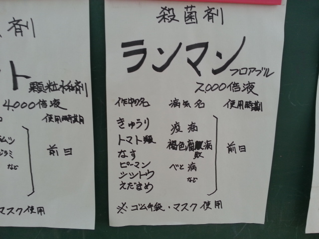 20150531 ランマン.jpg