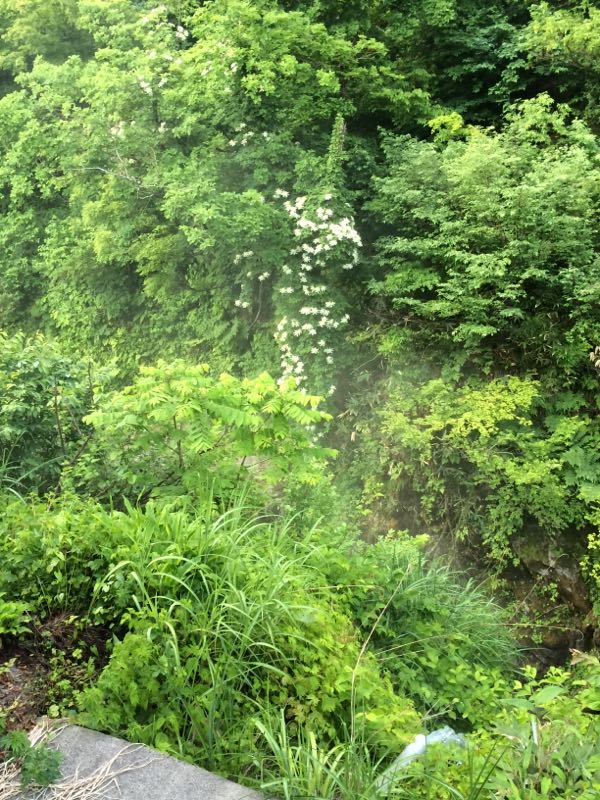 rblog-20160612092934-04.jpg