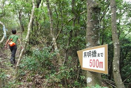 これから500mが長かったりして・・。