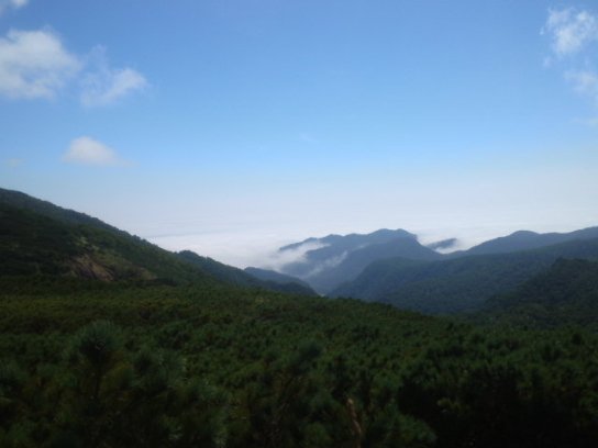 峠からの雲海.jpg