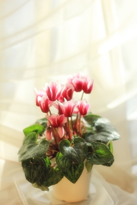 20130119-4.JPG