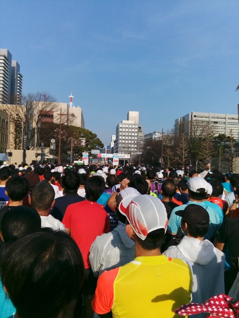 IMG_20160306_080423 (480x640).jpg