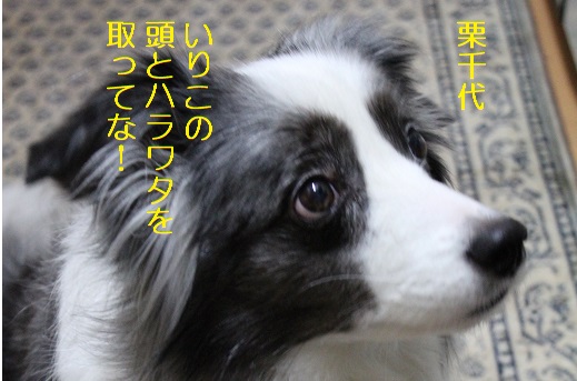 頭とハラワタ