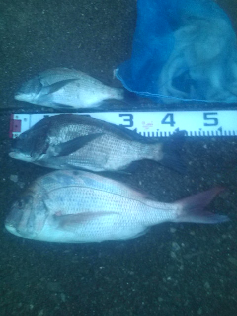 20120811184423.jpg