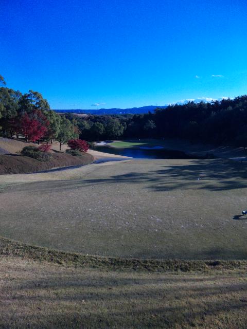 ＳＦＧＣ－Ｎｏ．７