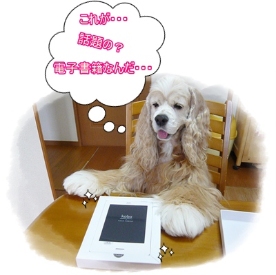 これがkobo.JPG