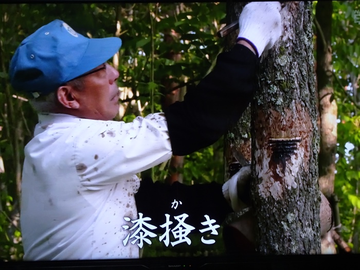 国立歴史民俗博物館・『URUSHIふしぎ物語－人と漆の12000年史