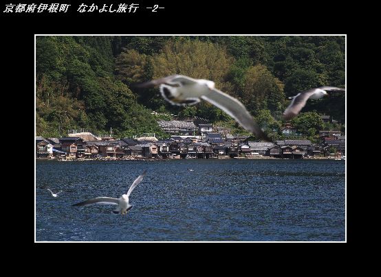 IMG_1211伊根なかよし旅行-2.jpg