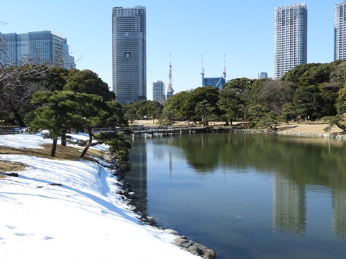 浜離宮恩賜庭園にて