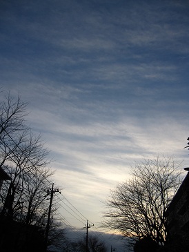 IMG_0800.JPG