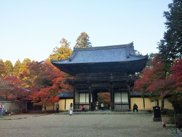 SH3L00680001 (2)2.jpg